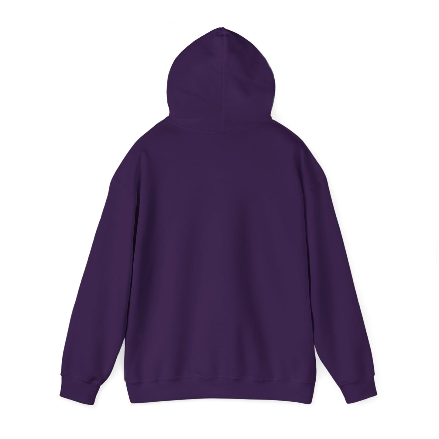 Survivor Mentality Hoodie (New Orleans)