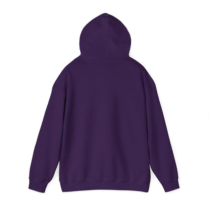 Survivor Mentality Hoodie (New Orleans)